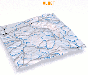 3d view of Olmet