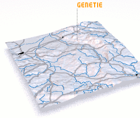 3d view of Genetie