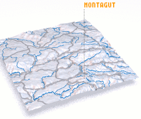 3d view of Montagut