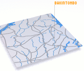 3d view of Bakin Tombo