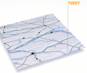 3d view of Turny