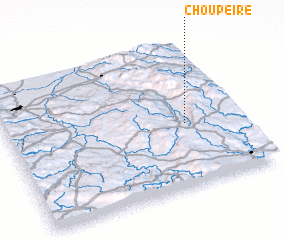 3d view of Choupeire