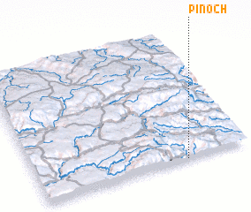 3d view of Pinoch