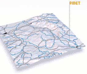 3d view of Pinet