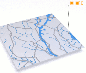 3d view of Kokane