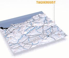 3d view of Taguemount