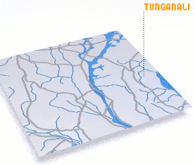 3d view of Tungan Ali