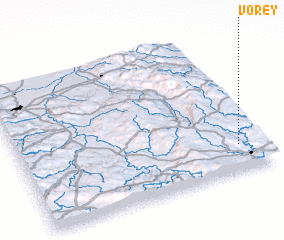 3d view of Vorey