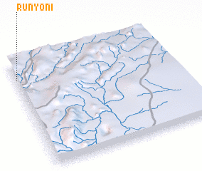 3d view of Runyoni