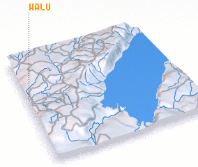 3d view of Walu