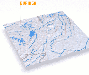 3d view of Buringa