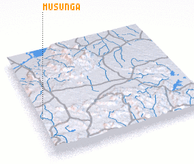 3d view of Musunga