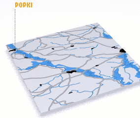 3d view of Popki