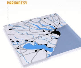 3d view of Parkantsy