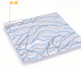 3d view of Elim