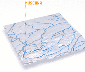 3d view of Musekwa