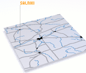 3d view of Salʼniki