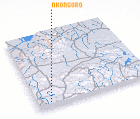 3d view of Nkongoro