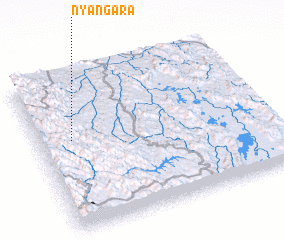 3d view of Nyangara