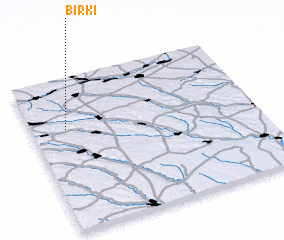 3d view of Birki