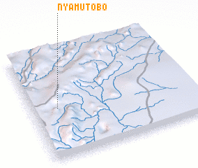 3d view of Nyamutobo