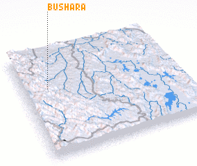 3d view of Bushara