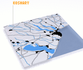 3d view of Koshary