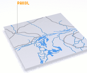 3d view of Pakol