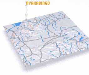 3d view of Nyakabingo