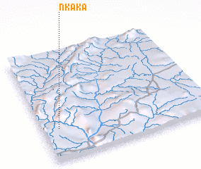 3d view of NʼKaka