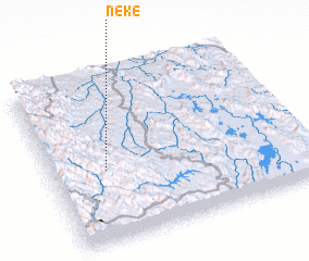 3d view of Neke