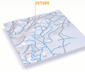 3d view of Suture