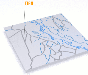 3d view of Tiam