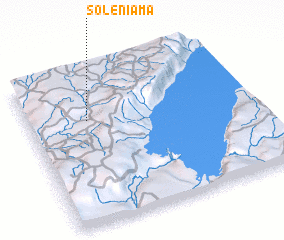 3d view of Soleniama