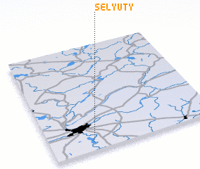 3d view of Selyuty