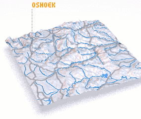 3d view of Oshoek