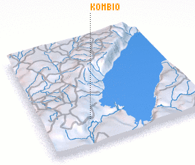 3d view of Kombio