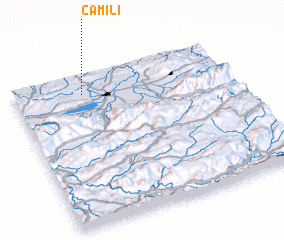 3d view of Camili