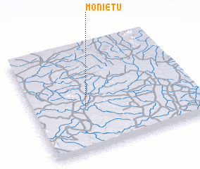 3d view of Monietu