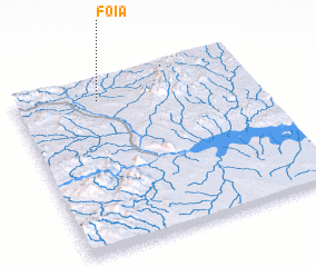 3d view of Foia