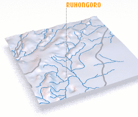 3d view of Ruhongoro