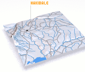 3d view of Hakibale