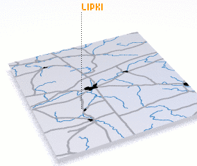 3d view of Lipki