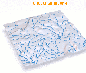 3d view of Chesenga Kasoma