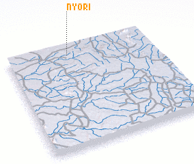 3d view of Nyori