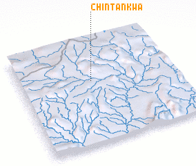 3d view of Chintankwa
