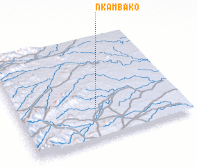 3d view of Nkambako