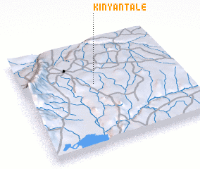 3d view of Kinyantale