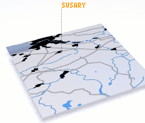3d view of Susary