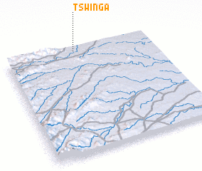 3d view of Tswinga